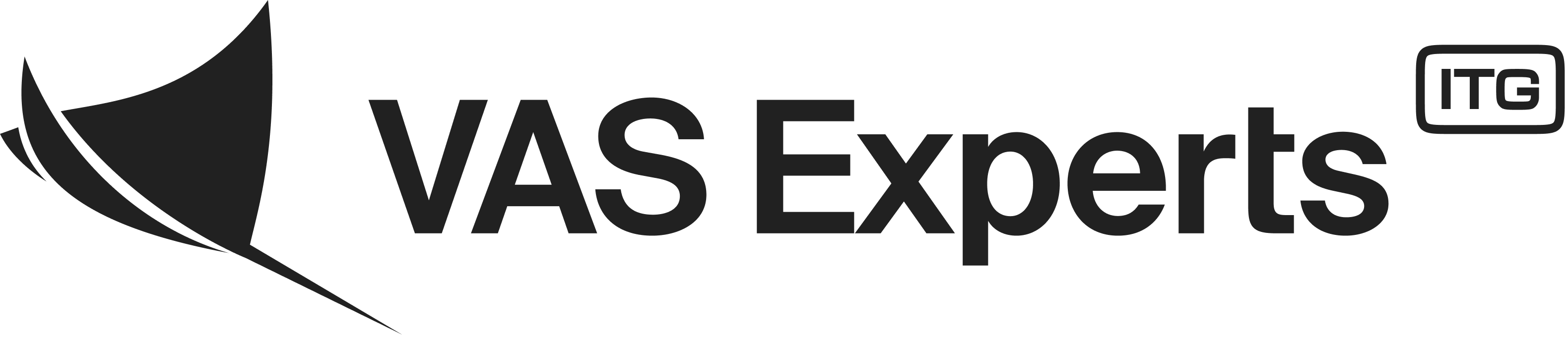 VAS Experts